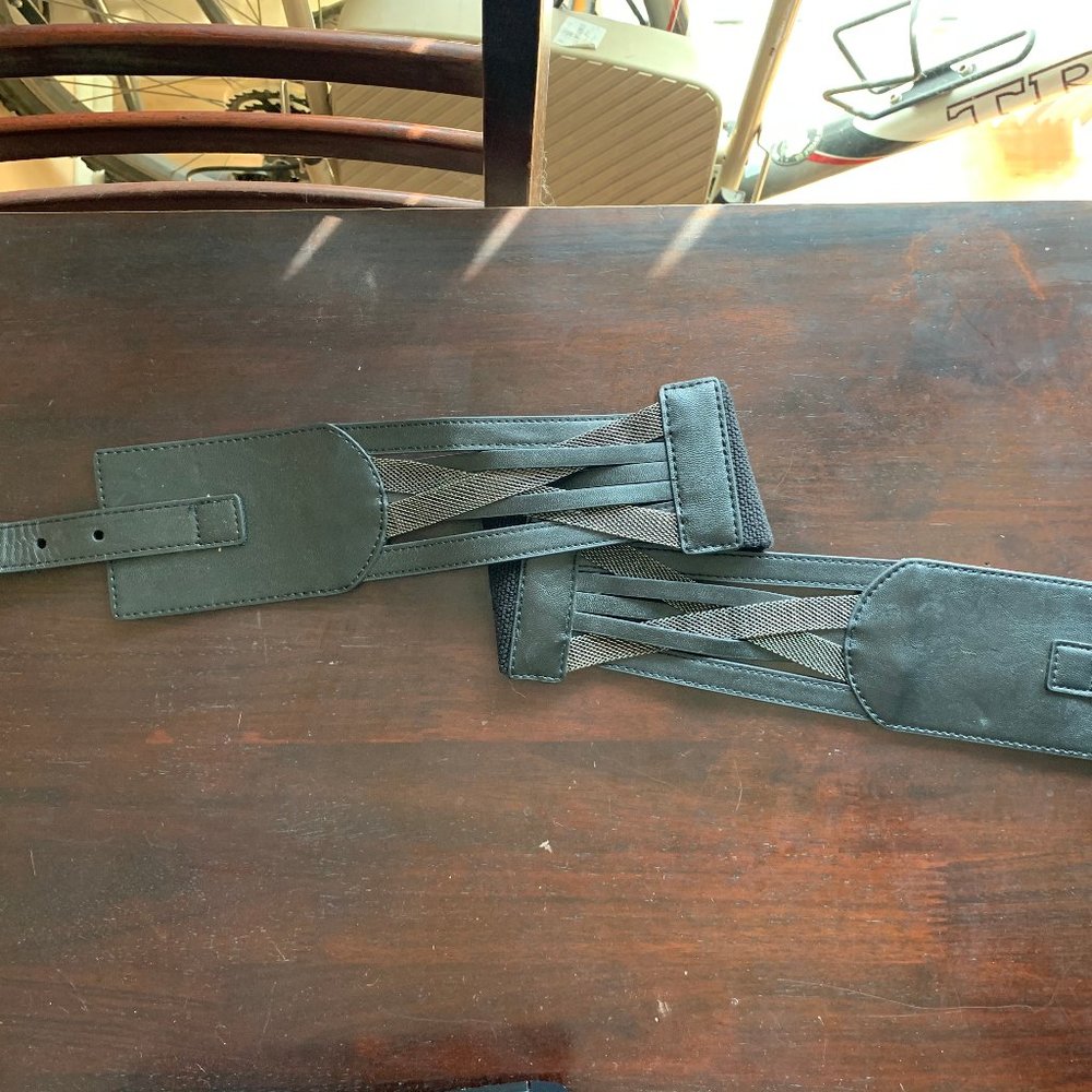 Black and Silver Hardware Wide elastic belt